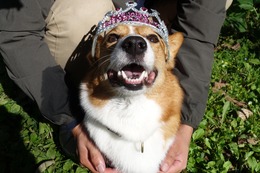 す　麦　３歳誕生記念　