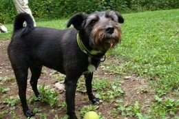 さ こたろう 8・11→8・29