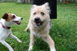 あ ポテンシャル 新10ヶ月