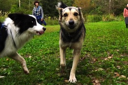 ふ 平蔵 9.26→9.27