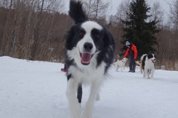 ご ソラ 2・16→2・18