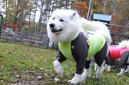 む　さぶろう