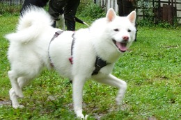 に　つらら　８・２４→９・３