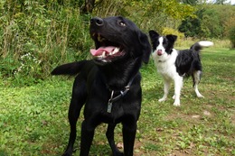 に　ブリンクリー