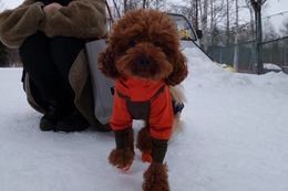 と ろむ 新1歳 2・24→秋