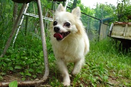 あ 來 7・4→8・28