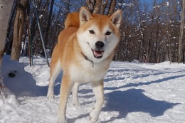 お　健太郎