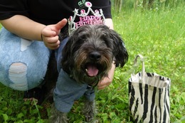 た　もずく　新４歳誕生記念