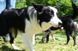 つ　エマ　7.18→8.2