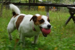 あ　真　８・１８→８・２７