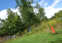 DSC09421
