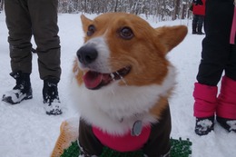 う　蓬