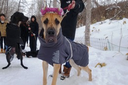 み イヴ 新6カ月