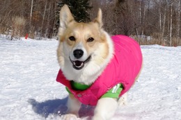 し　梨杏