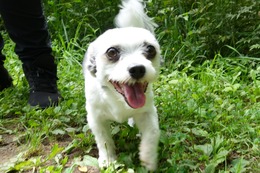 み　はんぺん　８・１５→９・２