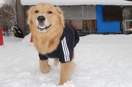 ひ　シェリ