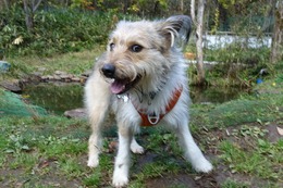 あ　ポテンシャル