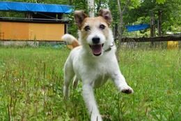 あ　純　８・１８→８・２７