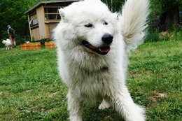 む　さぶろう