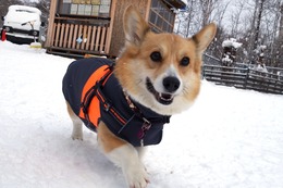 し　梨杏