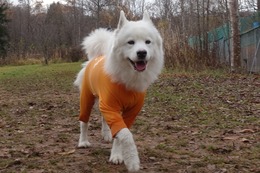 む　まるこ