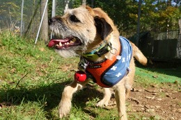 わ　ＢＡＲＲ　９・２６→１０・３