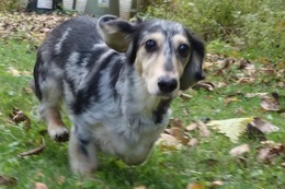 ま　夢夢　19.10.14→9.5