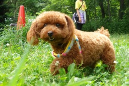 み　ゆうひ　新１歳