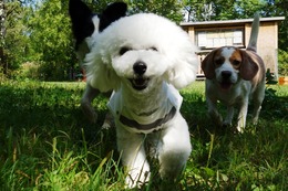 い　わたる　新9か月