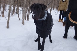 み グレイス 新8カ月