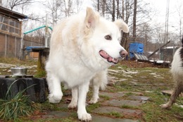 や　リューイ　１１・２４→１１・２８