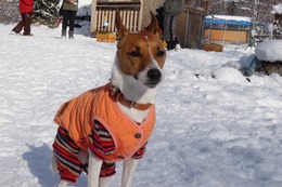 お なる