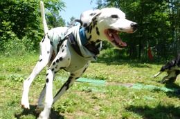 と　ココ　新１歳