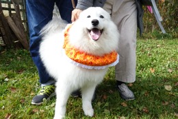 な　マロン　新２歳