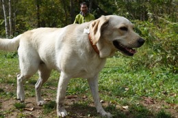 い　チロ　１０・７→１１・２１