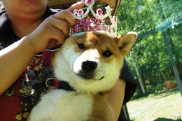 た　なつ　新１歳誕生記念