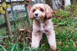 と　いよ　新６歳