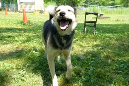 ふ 平蔵 7・9→8・28