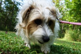 わ　モコ　９・２６→１０・３