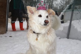 や　リューイ　9歳誕生記念