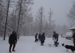 雪