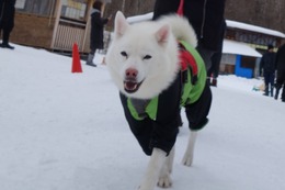 に　つらら