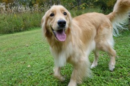 ま チューロ 9・29→10・29