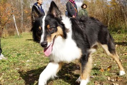 や　アントワン