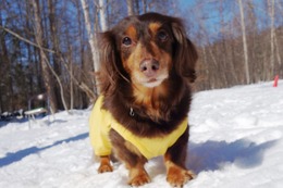 よ　ラブ　新１３歳