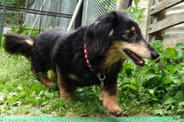 あ たろう 6・2→6・3