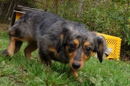 ま　来夢　19.10.14→9.5