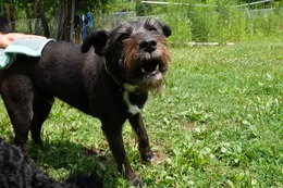 さ　こたろう7.28→7.29