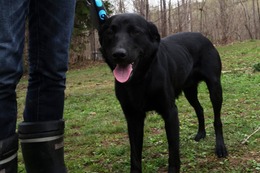 に　ブリンクリー　５・１→５・２７