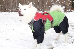 に つらら 11・16→11・18